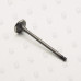 Exhaust Valve -  Hyundai D4CB