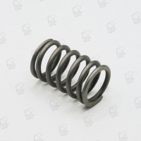 Mazda Valve Spring