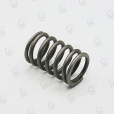 Toyota Valve Spring